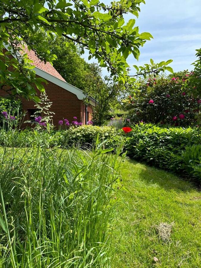 Haystackcottage Paterswolde Esterno foto