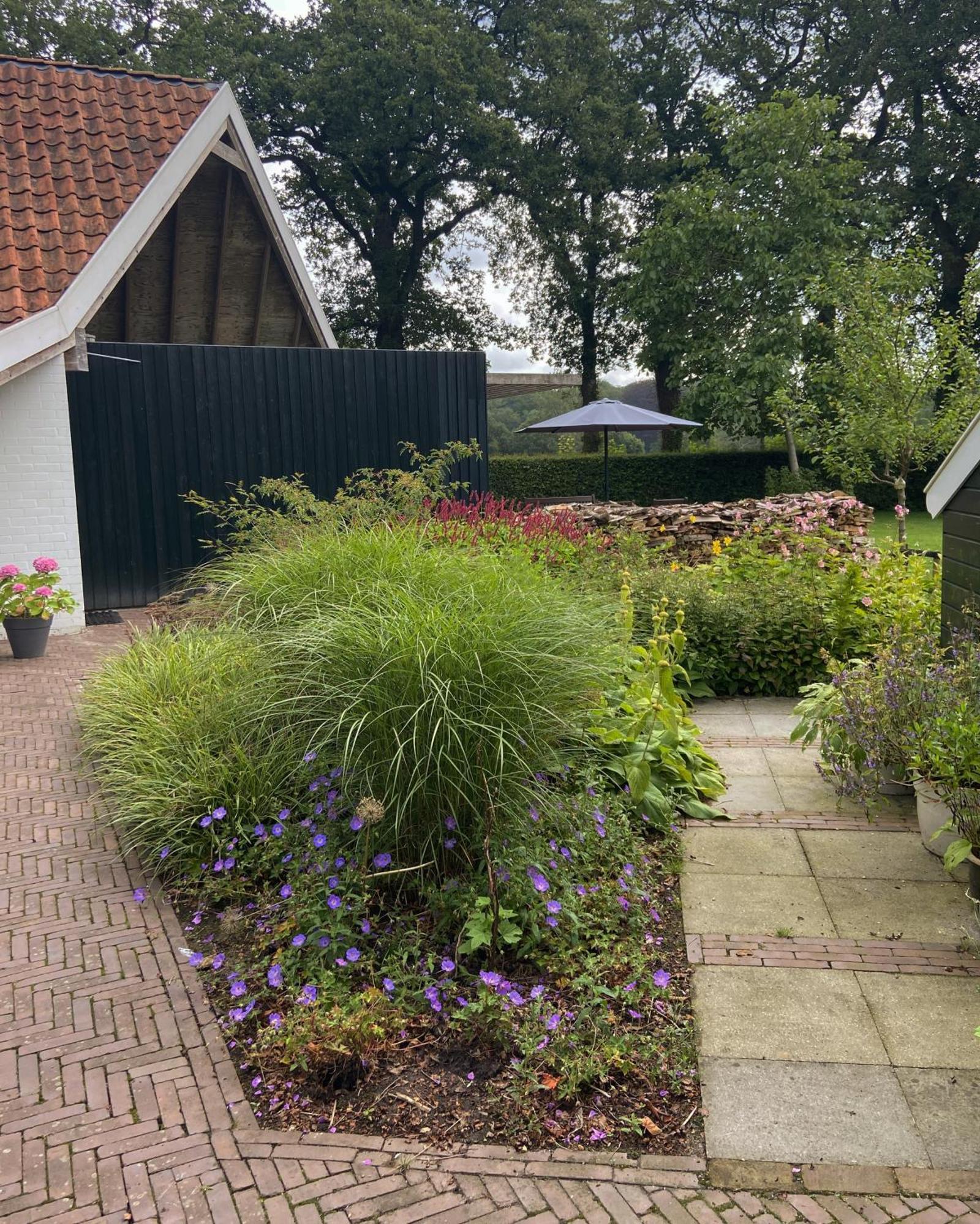 Haystackcottage Paterswolde Esterno foto